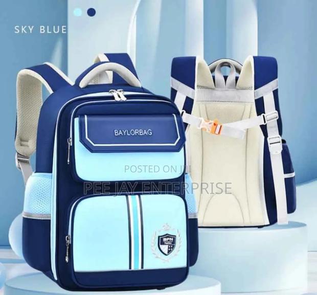 Baylorbag Bfn Sky Blue School Backpack. photo 2