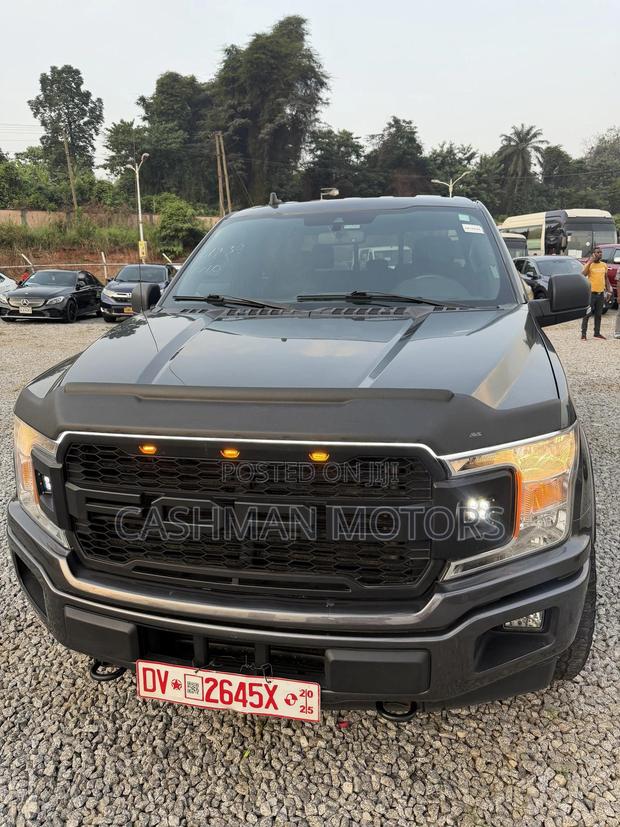 Ford F-150 XLT 2021 Gray