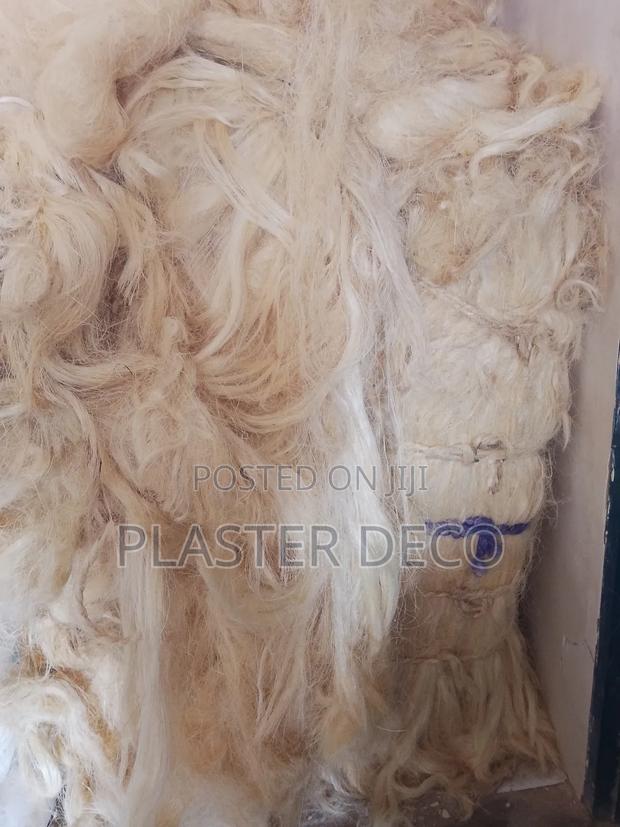 Fiber for Pop · Photo 3