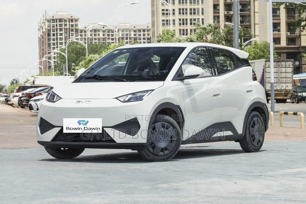 New BYD Seagull 2025 White