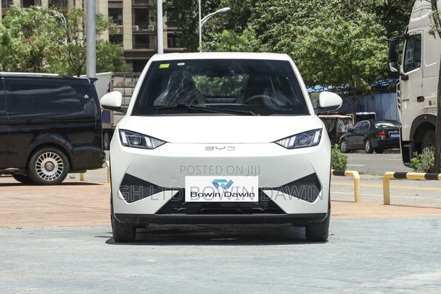 New BYD Seagull 2025 White photo 5