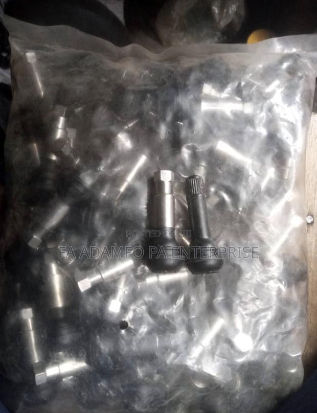 100 PCS Valve Cap or Cover or Tyre Valve Caps photo 5