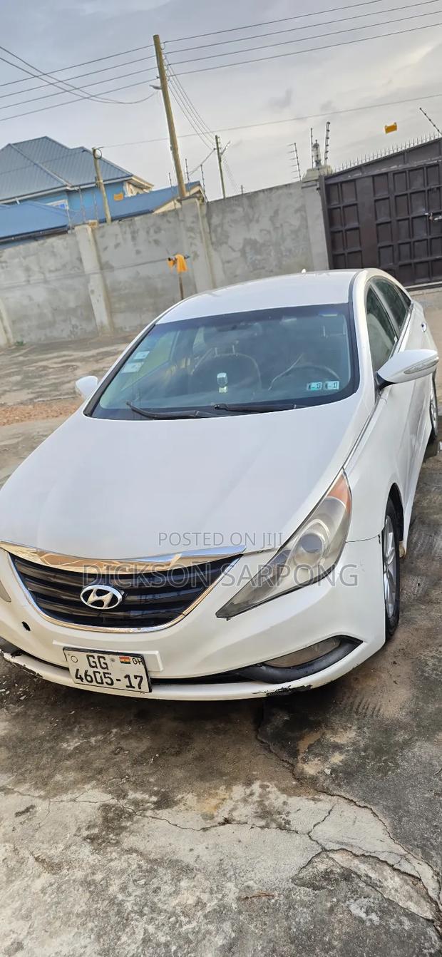 Hyundai Sonata 2013 White photo 13