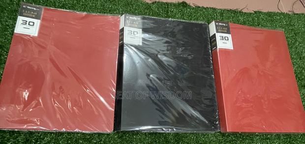 30 Pockets A4 Size Clear Book · Photo 2