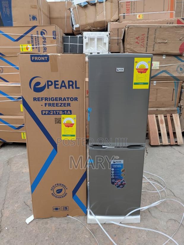 Pearl 142l Double Door Bottom Freezer Fridge photo 2