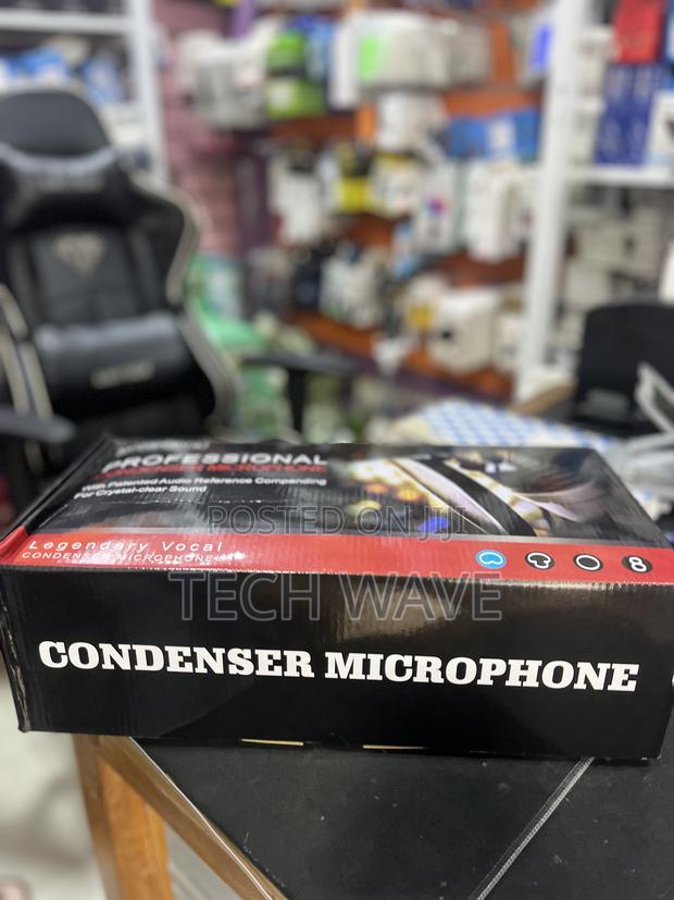 Condenser Double Microphone V8 Sound Card photo 3
