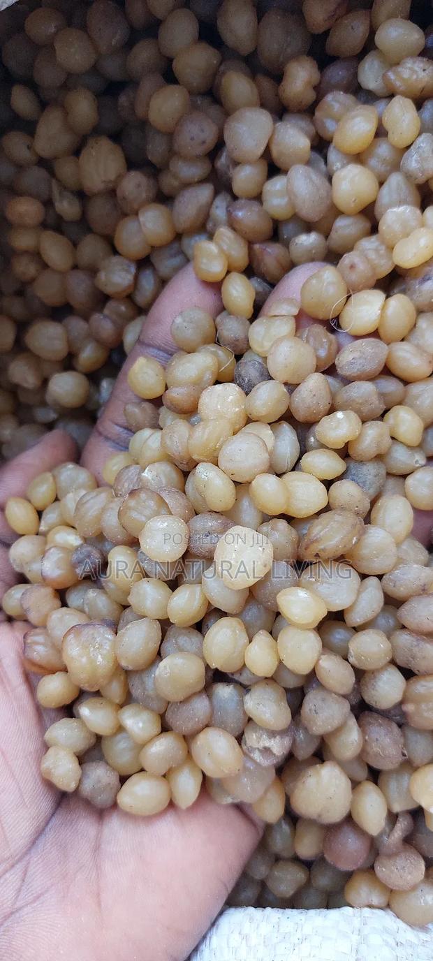 Akpi Seeds 1kg