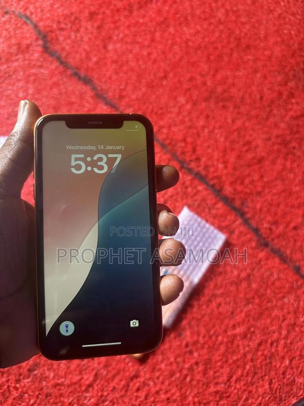 New Apple iPhone XR 256 GB Pink photo 5