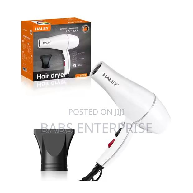 Haley Hair Dryer Hy-4017