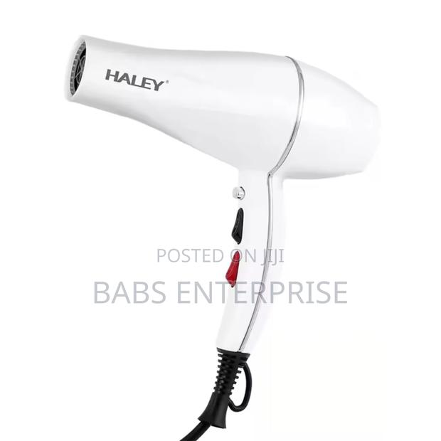 Haley Hair Dryer Hy-4017 photo 2