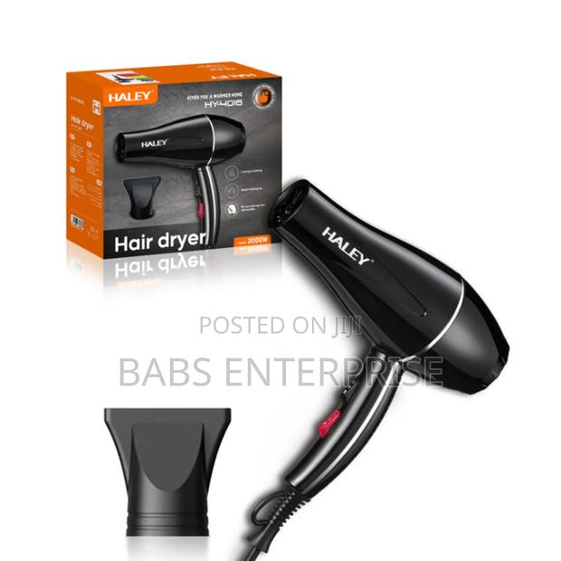 Haley Hair Dryer Hy-4016