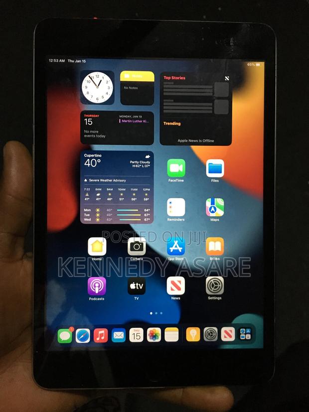 Apple iPad mini 4 128 GB Gray