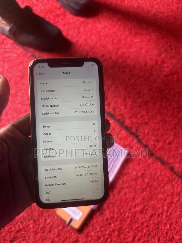 New Apple iPhone XR 256 GB Pink photo 4
