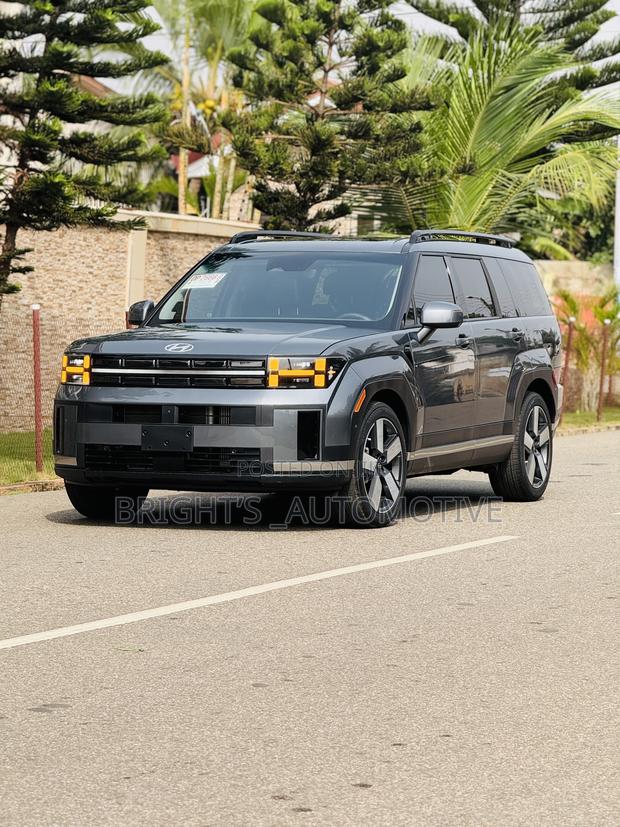 Hyundai Santa Fe Limited 2024 Gray