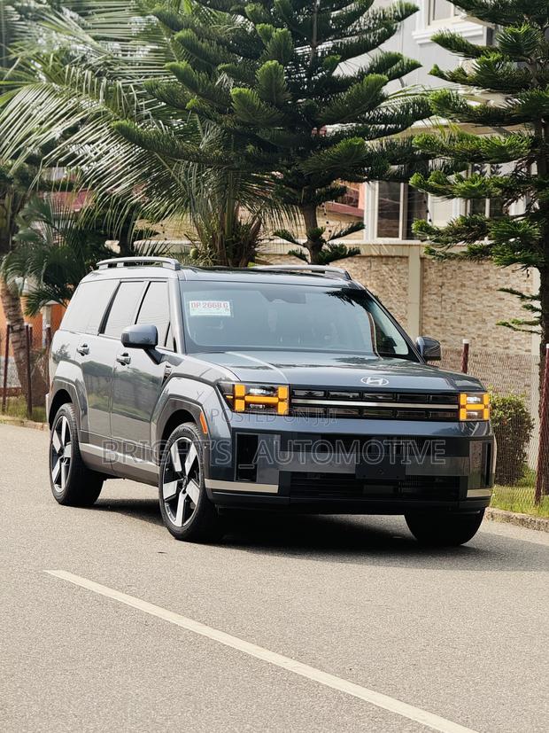 Hyundai Santa Fe Limited 2024 Gray