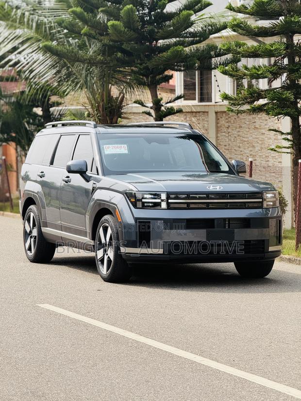 Hyundai Santa Fe Limited 2024 Gray