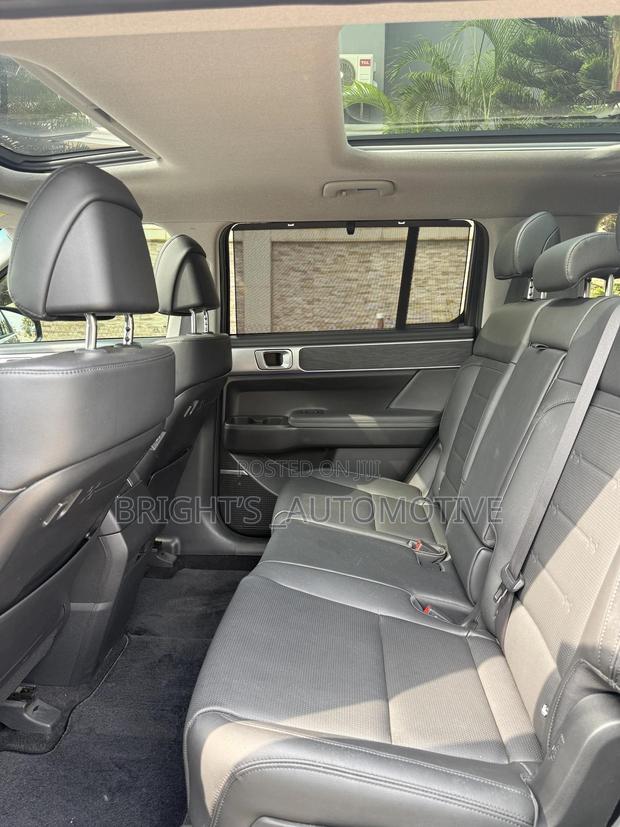 Hyundai Santa Fe Limited 2024 Gray