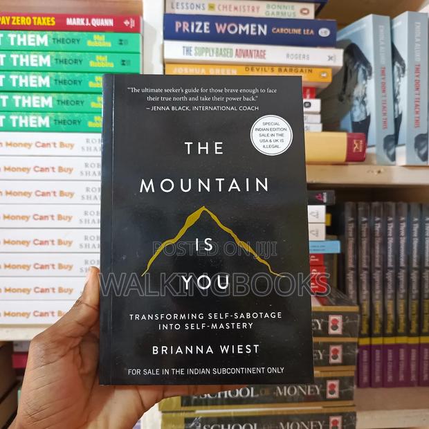 The Mountain Is You- Brianna Wiest · Photo 2