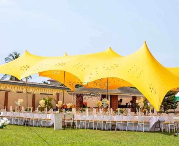 Cheese Tent Canopy photo 3