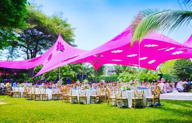 Cheese Tent Canopy photo 4