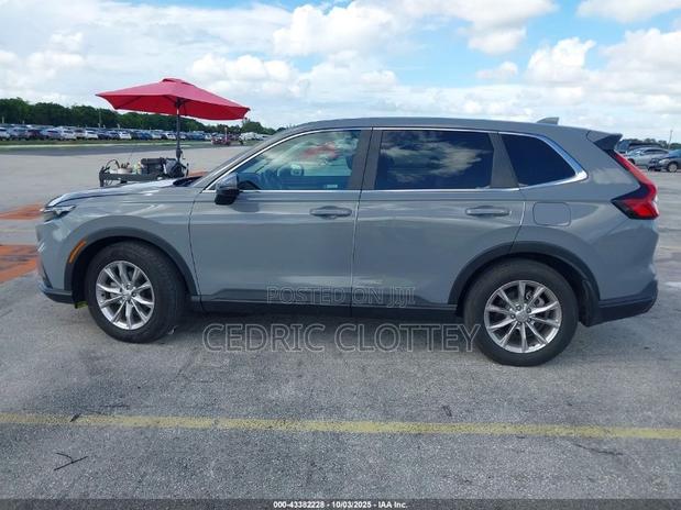 Honda CR-V EX-L AWD 2023 Gray