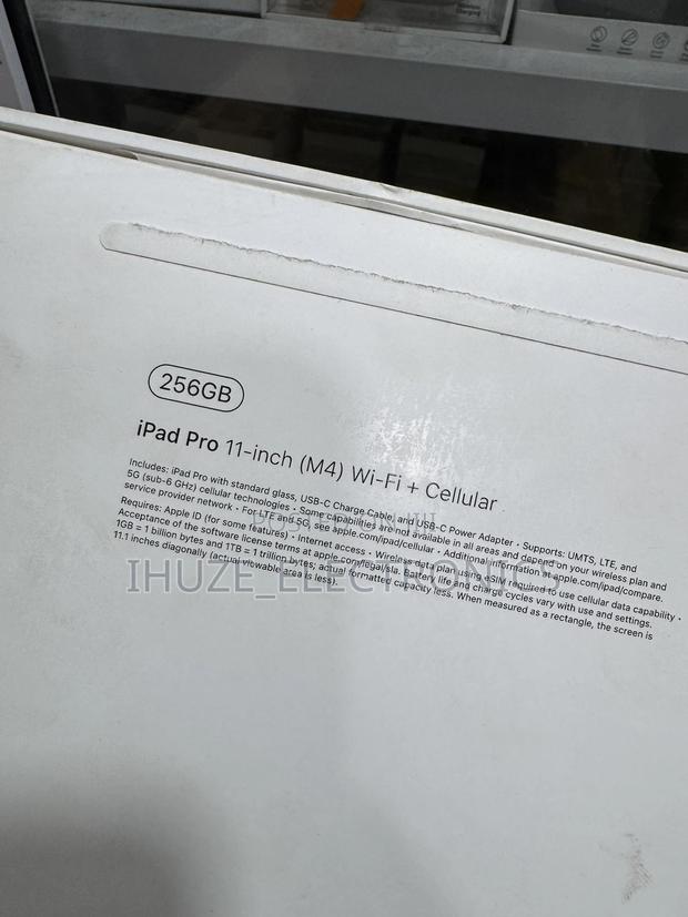 Apple iPad Pro 11 (2024) 256 GB Silver photo 4