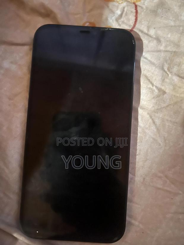 New Apple iPhone 12 Pro Max 256 GB Green photo 2