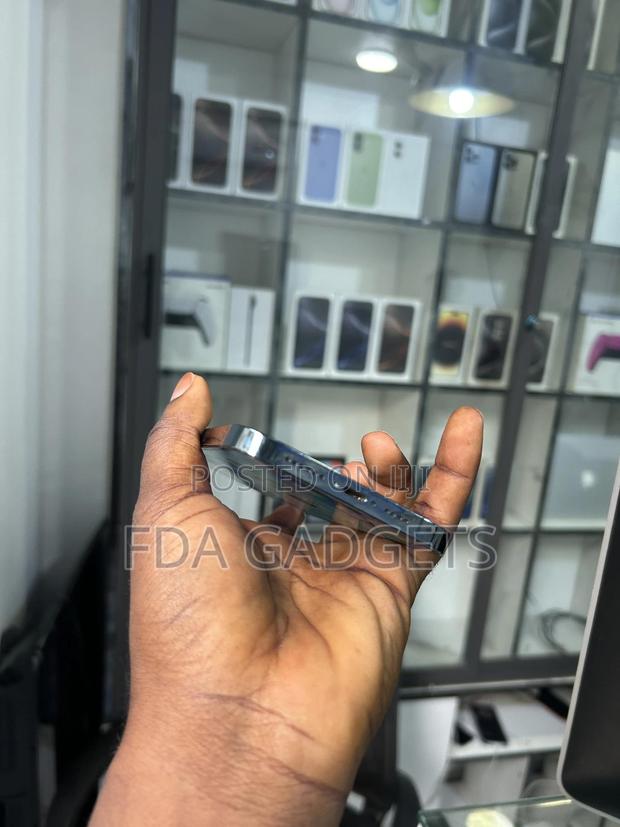 Apple iPhone 12 Pro Max 256 GB Blue photo 4