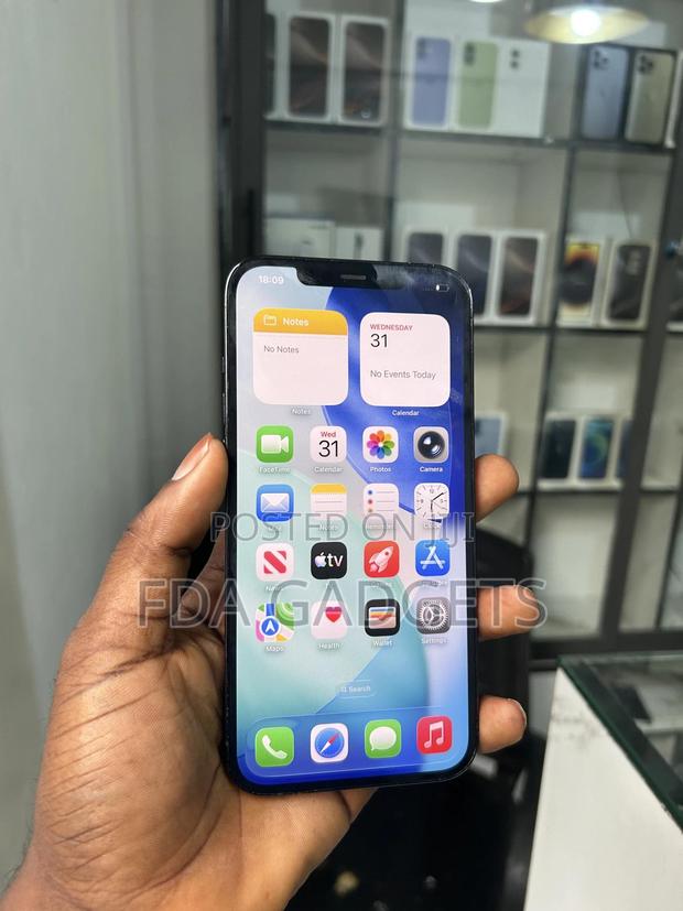 Apple iPhone 12 Pro Max 256 GB Blue