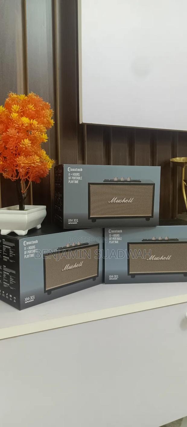 Marshall Bluetooth Speaker photo 10