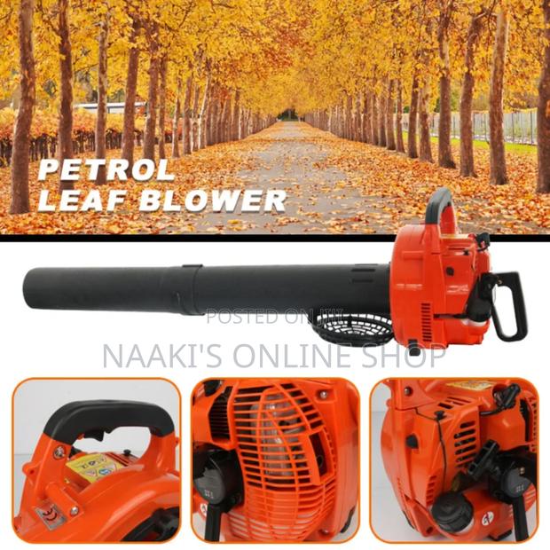 Lightweight Dust/Leaves Blower photo 3