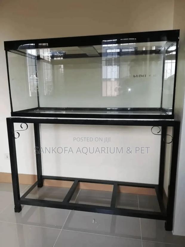 Point Kill Empty Fish Tank · Photo 2