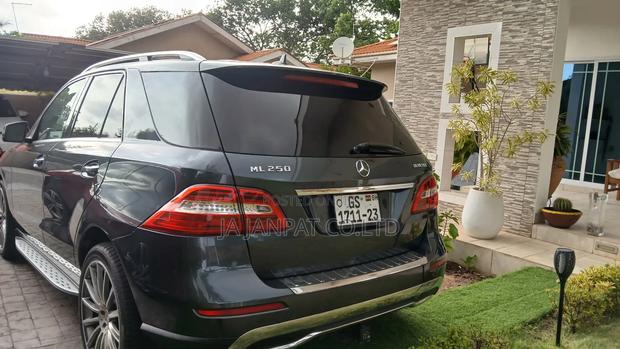 Mercedes-Benz M Class 2015 Gray photo 2
