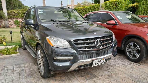 Mercedes-Benz M Class 2015 Gray photo 7