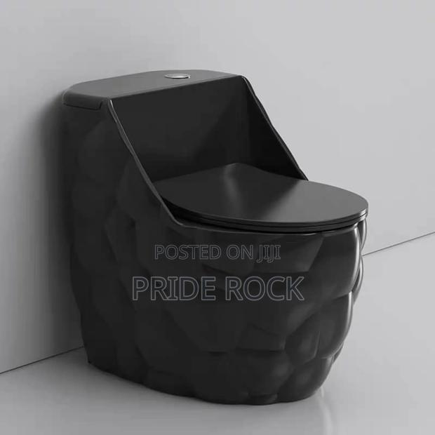 Black Egg Shape Wc