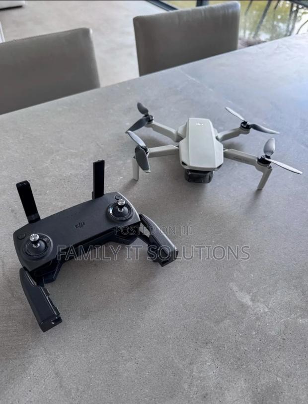 Dji Mavic Mini photo 2