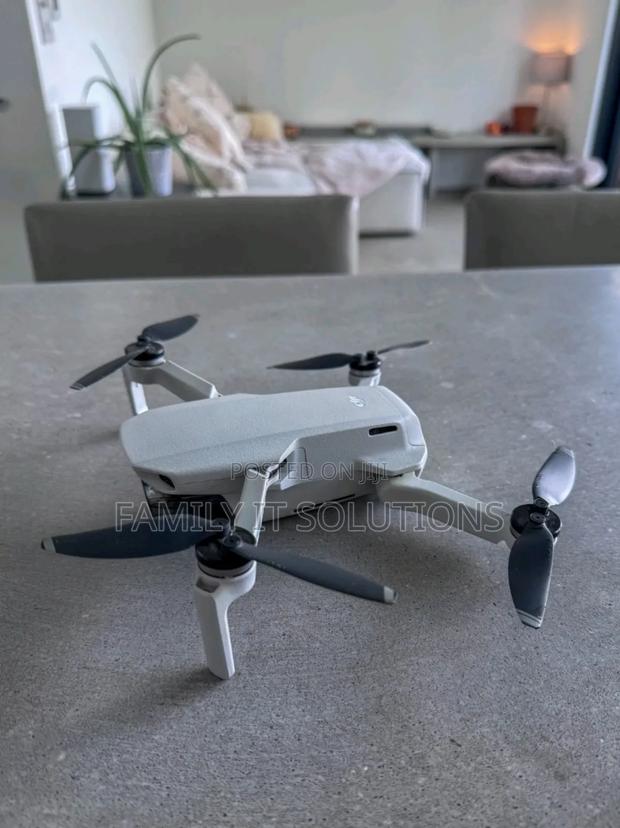 Dji Mavic Mini photo 6