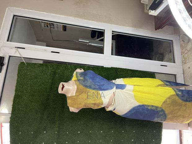 Colour Dress Straight Dress