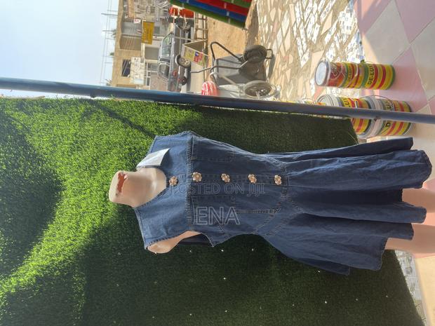 Colour Dress Straight Dress