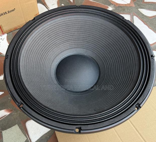 Jld 18-inch 2500watt Pair Of Naked Speaker/Subwoofer Jld-pw18204-01 photo 2