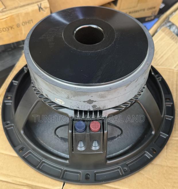 Jac Lf12g301d 12inches Double Magnet Pair Of Naked Speaker photo 4