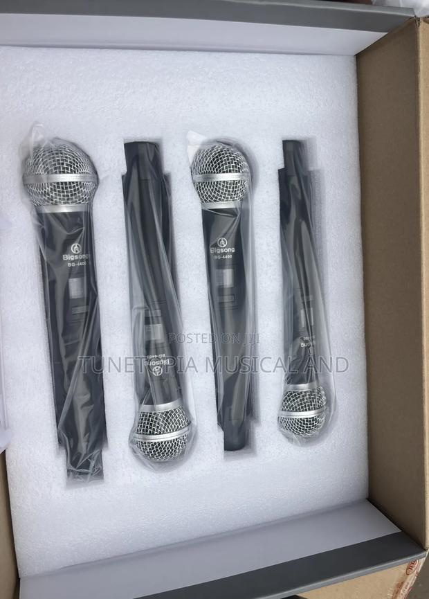 Bigsong Bg-4400 4-in-1 Professional Wireless Microphone photo 2