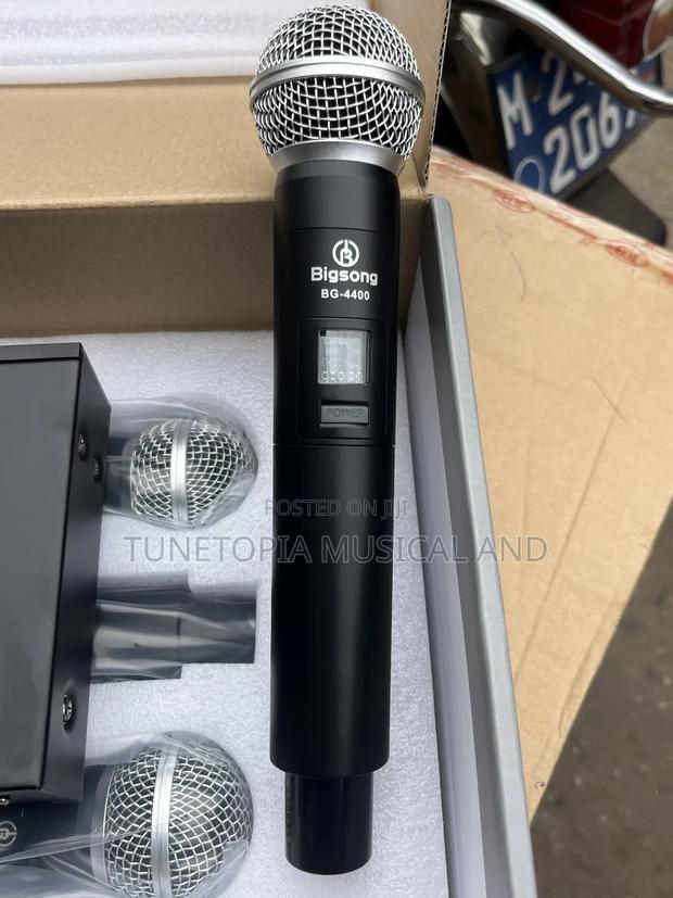 Bigsong Bg-4400 4-in-1 Professional Wireless Microphone photo 4