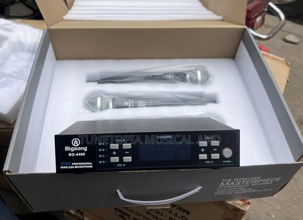 Bigsong Bg-4400 4-in-1 Professional Wireless Microphone photo 5