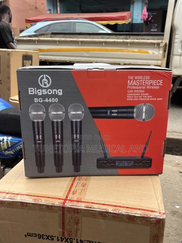 Bigsong Bg-4400 4-in-1 Professional Wireless Microphone photo 6