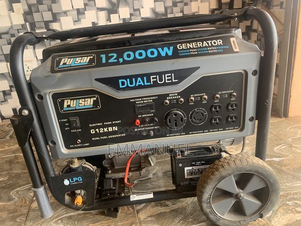 Pulsar Dual Fuel Generator photo 2