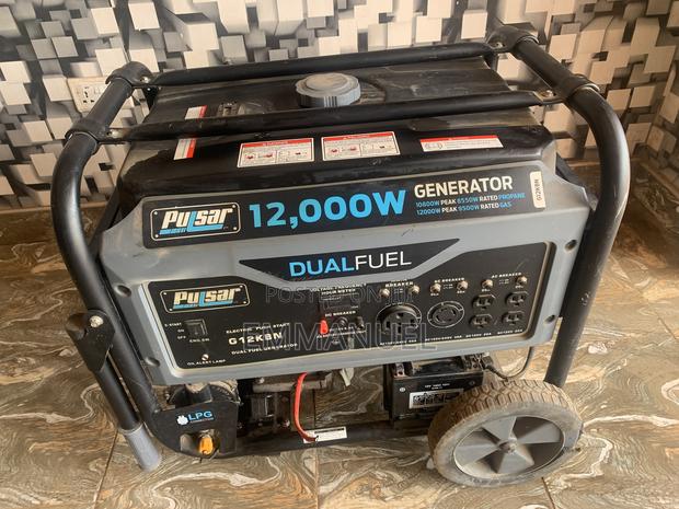 Pulsar Dual Fuel Generator