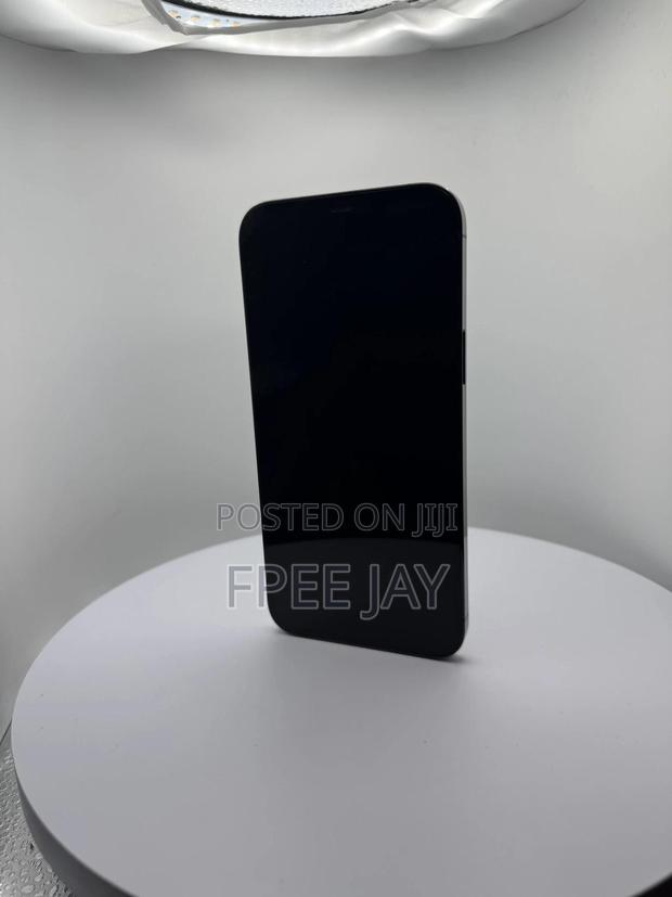 Apple iPhone 12 Pro Max 256 GB Blue photo 5