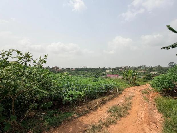 Land in Media, Samsam · Photo 2
