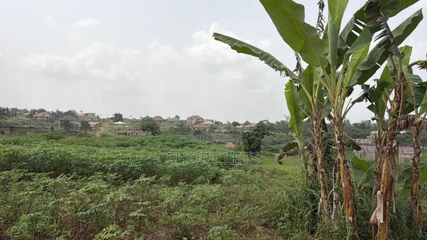 Land in Media, Samsam · Photo 3